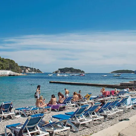 Apartman Awesome In Hvar With House Sea View